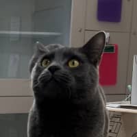 Photo of Micah (0005)