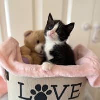 Photo of Addy 🌸🌸