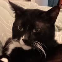 Photo of George