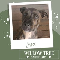 Photo of Xen