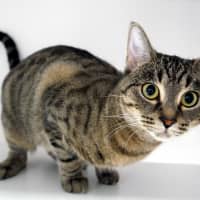 Photo of Mia Sua013891