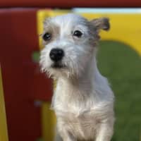 Photo of Hoodwink