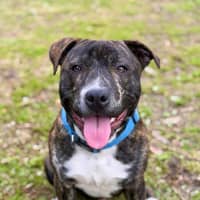 Photo of Tucker