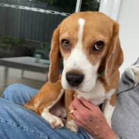 Photo of Adorable Amree