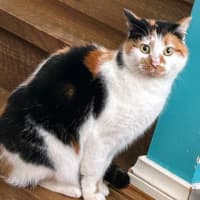 Photo of Mara