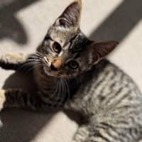 Photo of Coco 