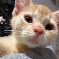 Photo of Esmerelda
