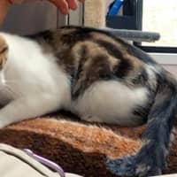 Photo of April (9172)