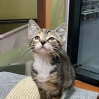Photo of Lucy