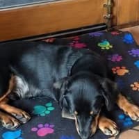Photo of Echo
