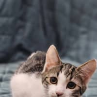 Photo of Sally