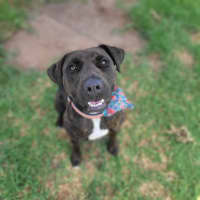 Photo of Rowena