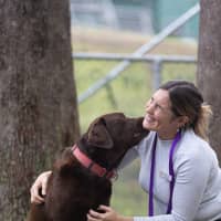 Photo of Cadbury