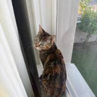 Photo of Kiko