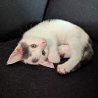 Photo of Mellie Baby