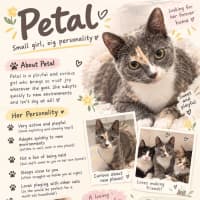 Photo of Petal