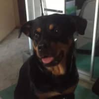 Photo of Lilly
