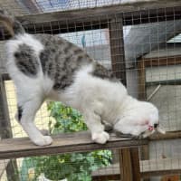 Photo of Billybob