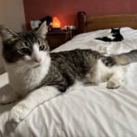 Photo of William