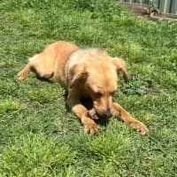 Photo of Miss. Ridgee