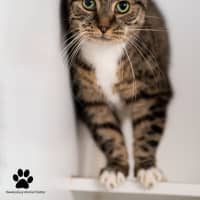 Photo of Tiggy