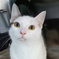 Photo of Bunni