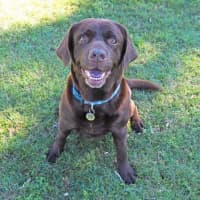 Photo of Coco