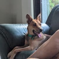 Photo of Rita