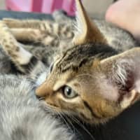 Photo of Bonnie 🍇