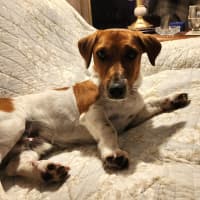 Photo of Jack Daniels