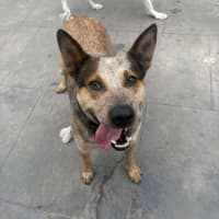 Photo of Shelly