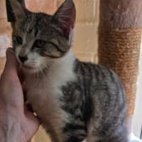 Photo of Clyde