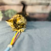 Photo of Sky   Located In Wallan