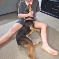 Photo of Rowdy