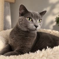 Photo of Stormy