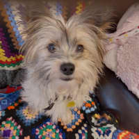 Photo of Benji & Lizzie