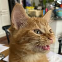 Photo of Artie