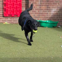 Photo of Ares