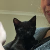 Photo of Tiny Timmy Moo