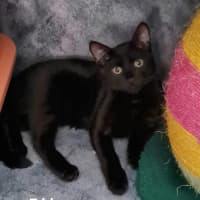 Photo of Eddy