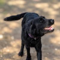 Photo of Audrey