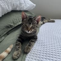 Photo of Liza   Located In Armadale