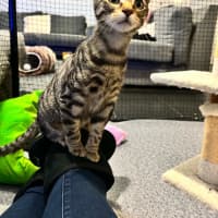 Photo of Alvin