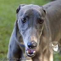 Photo of Froggy (Poppy Ed)