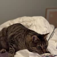 Photo of Charlie 