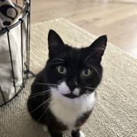 Photo of Big Best Baby Boy Bernard