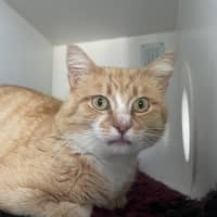 Photo of Mike Wazowski