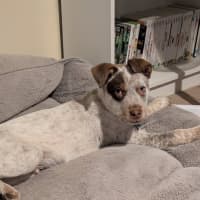 Photo of Billy