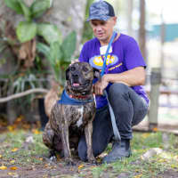 Photo of Jaxx