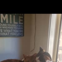 Photo of Otis